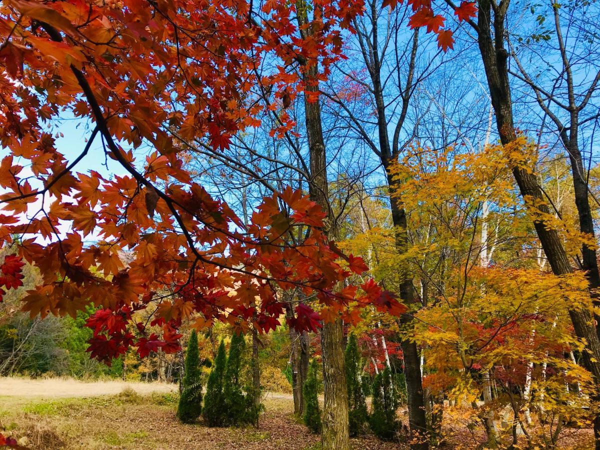 Hakuba Canadian Lodge Экстерьер фото