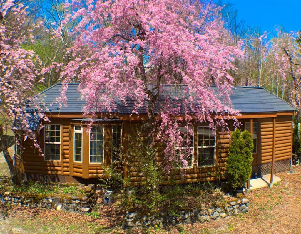 Hakuba Canadian Lodge Экстерьер фото