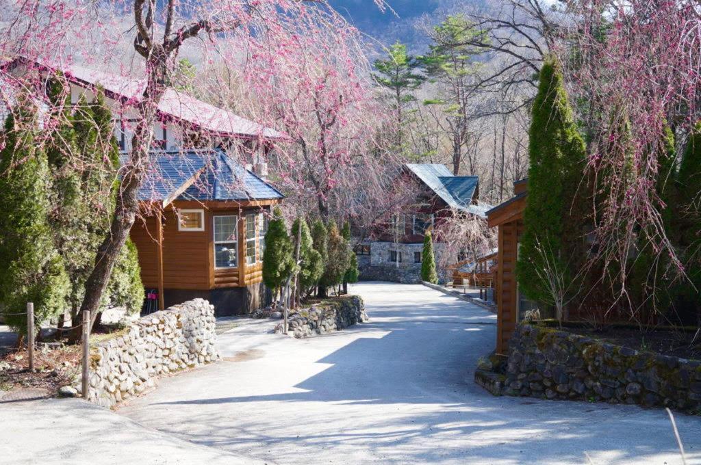 Hakuba Canadian Lodge Экстерьер фото