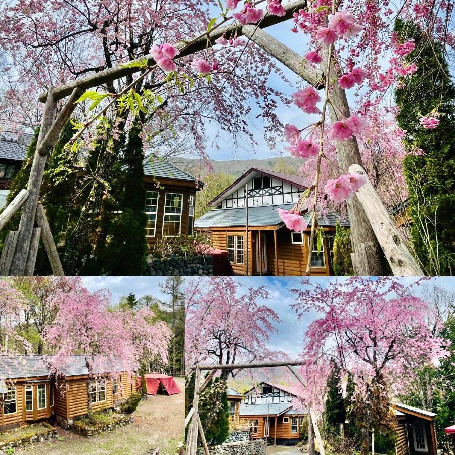 Hakuba Canadian Lodge Экстерьер фото